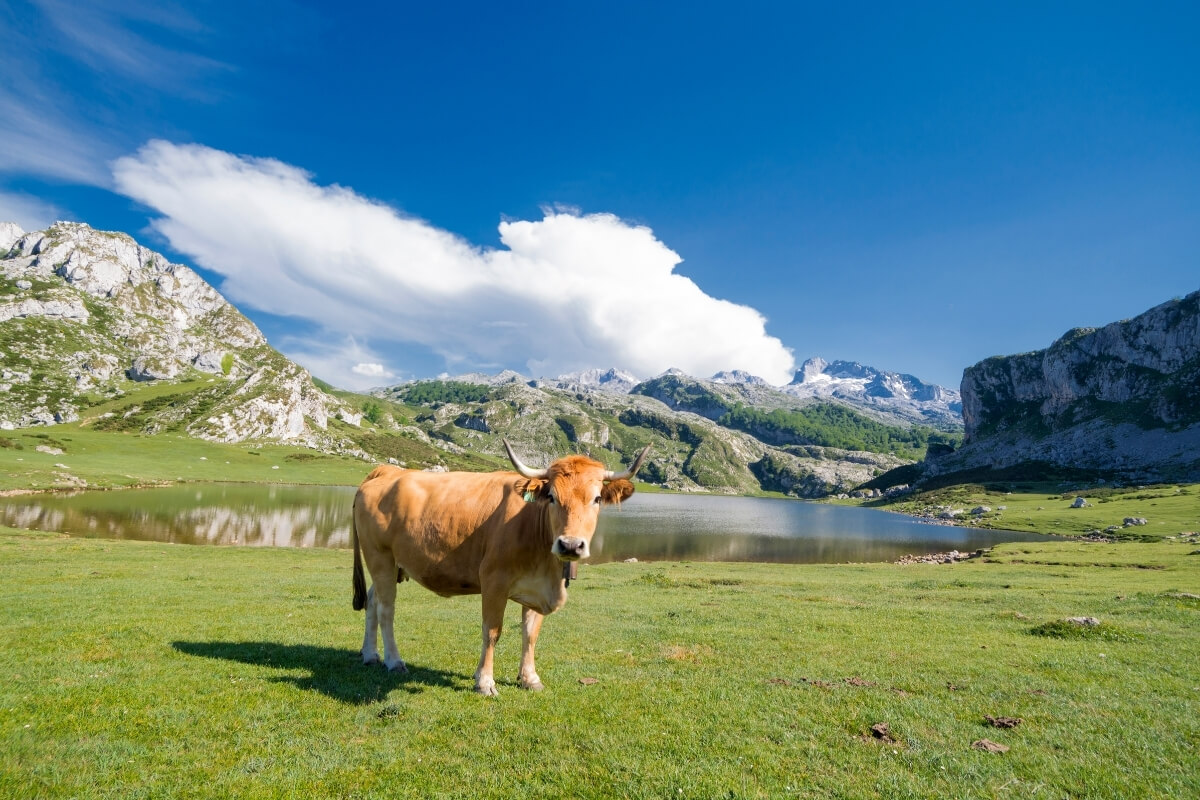 Que ver en Asturias - Pueblos Asturianos